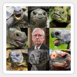 Great Turtles and Mitch McConnell Magnet